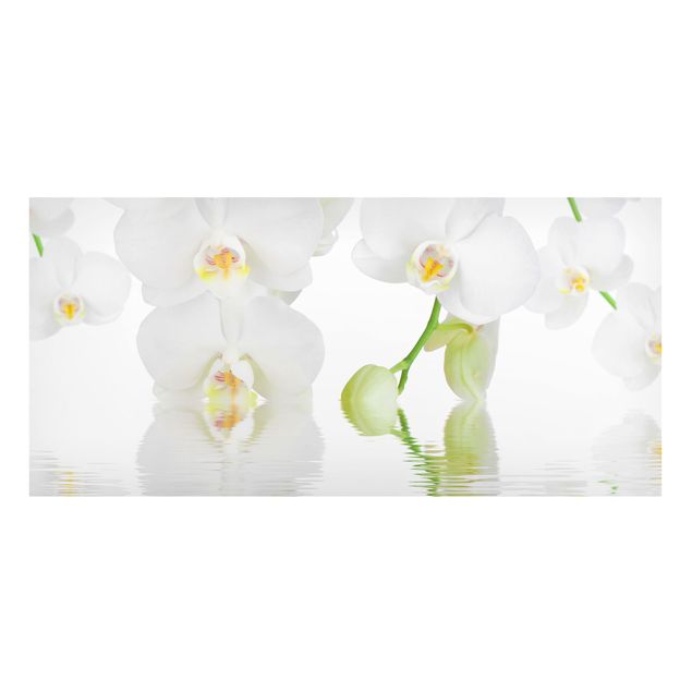 Tableau orchidées Spa Orchid - White Orchid