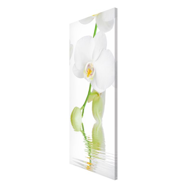 Tableaux magnétiques avec fleurs Spa Orchid - White Orchid