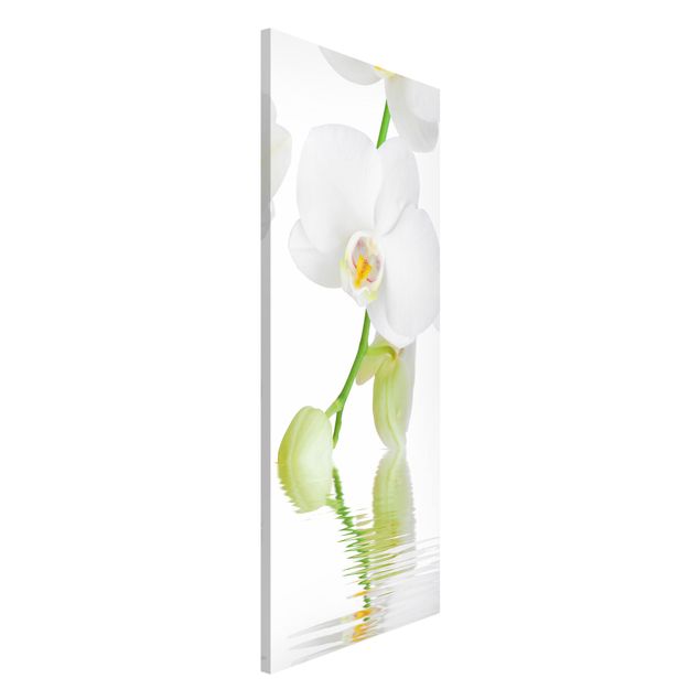Déco murale cuisine Spa Orchid - White Orchid