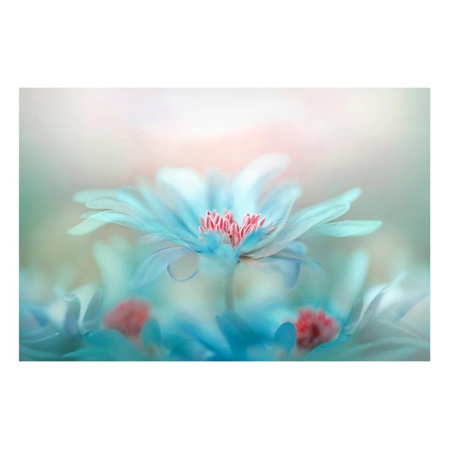 Tableaux magnétiques avec fleurs Fleurs délicates au pastel