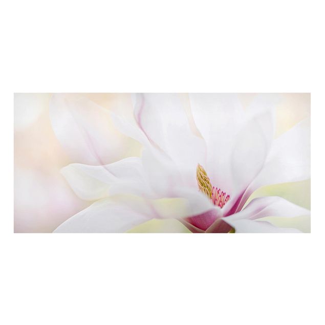 Tableaux magnétiques avec fleurs Délicate fleur de magnolia