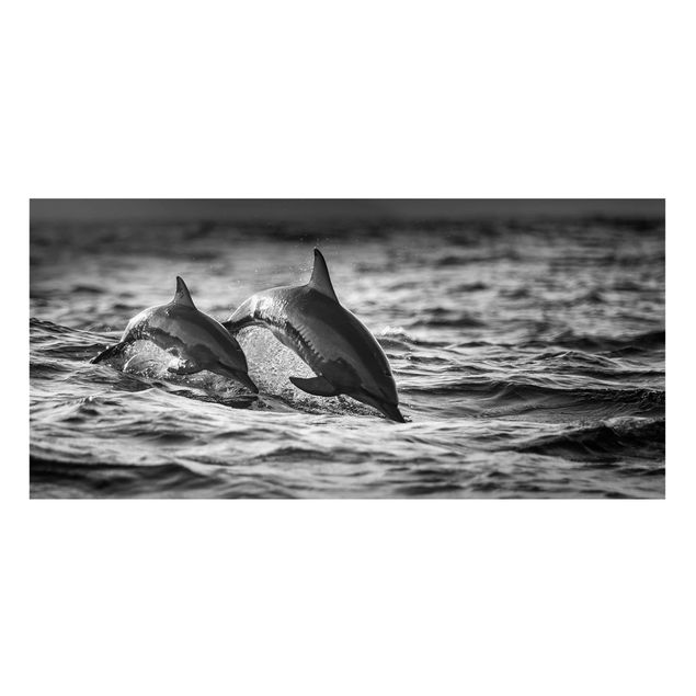 Tableaux poissons Deux dauphins qui sautent