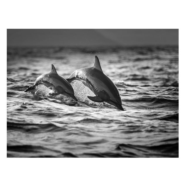 Tableaux poissons Deux dauphins qui sautent