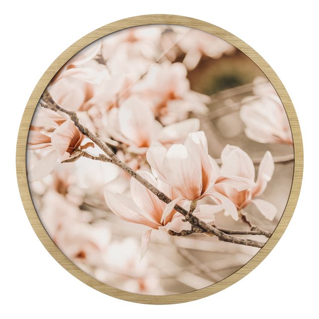 Tableaux encadrés vintage Rameau de magnolia style vintage