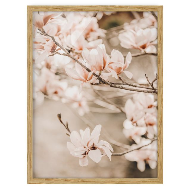 Affiches encadrées paysage Rameau de magnolia style vintage
