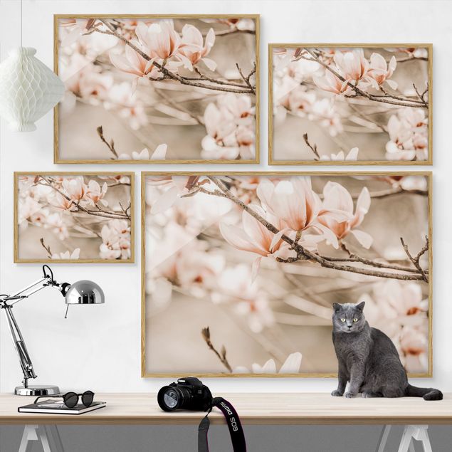 Affiches encadrées vintage Rameau de magnolia style vintage