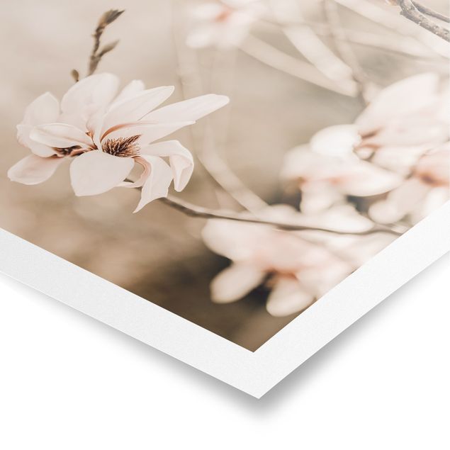 Tableau deco nature Rameau de magnolia style vintage