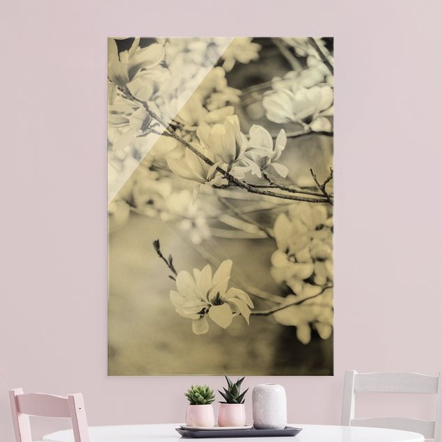 Tableaux en verre fleurs Rameau de magnolia style vintage II