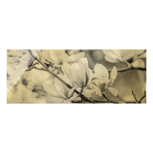 Tableaux noir et blanc Rameau de magnolia style vintage II