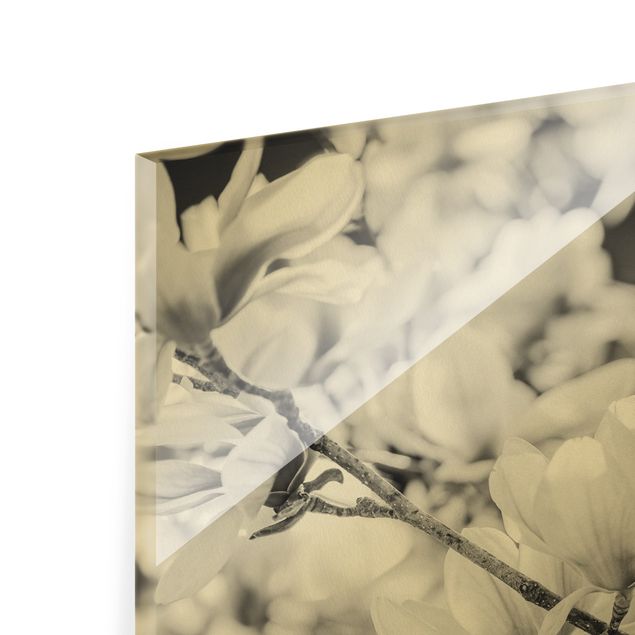 Tableaux muraux Rameau de magnolia style vintage II