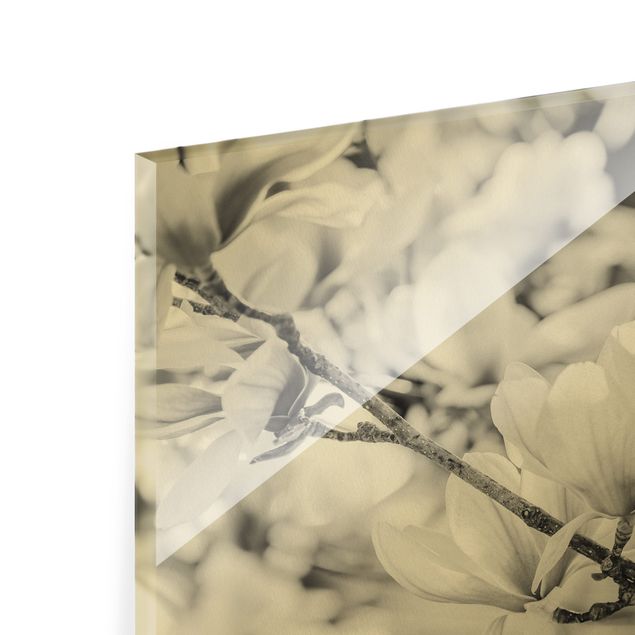 Tableaux muraux Rameau de magnolia style vintage II