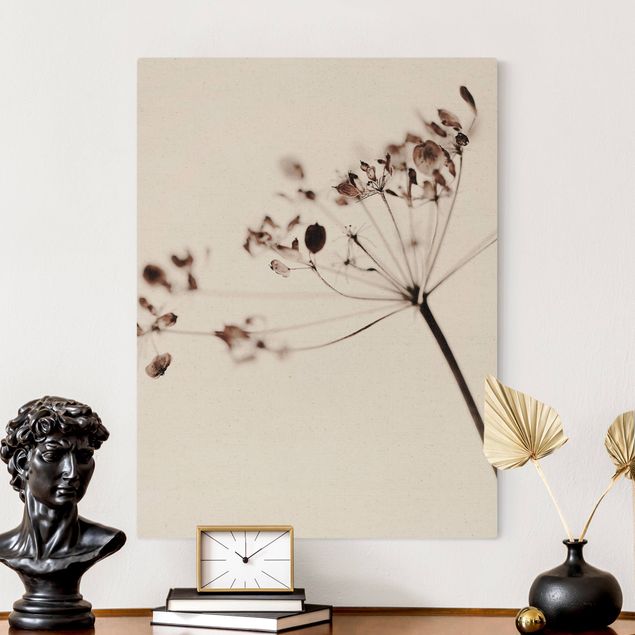 Tableaux sur toile avec herbes Macrophoto Fleurs Séchées dans l'Ombre