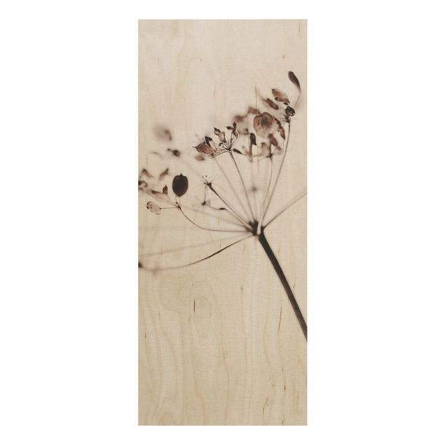 Tableaux en bois avec fleurs Macrophoto Fleurs Séchées dans l'Ombre