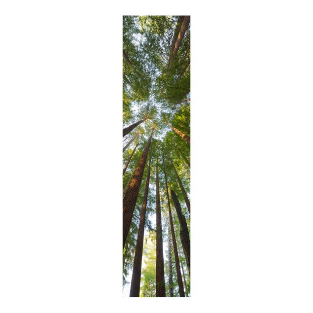 Panneau japonais paysage Têtes de Séquoia