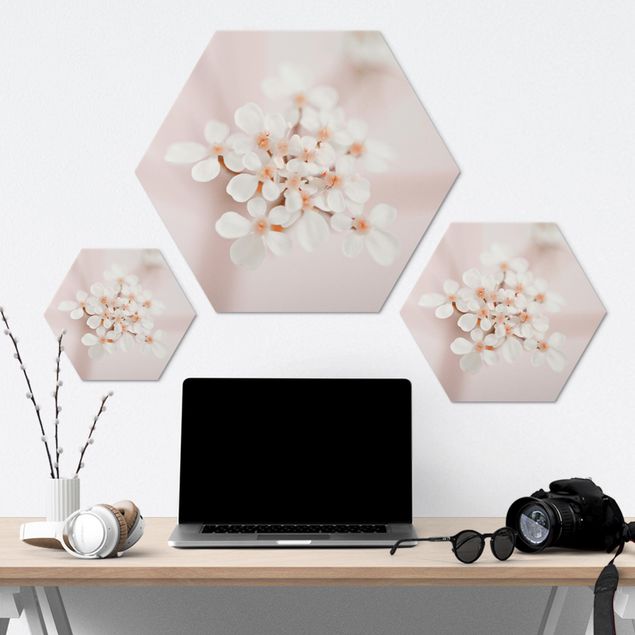 Hexagone en alu Dibond - Mini Flowers In Pink Light
