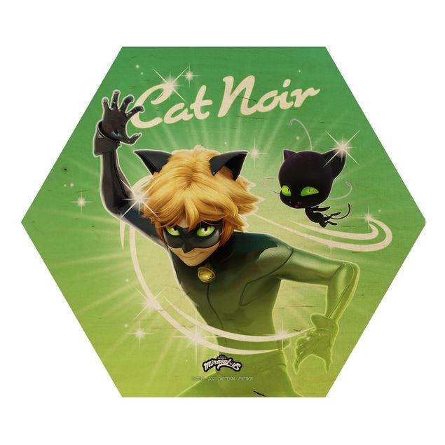 Tableau vert Miraculous Cat Noir And Plagg