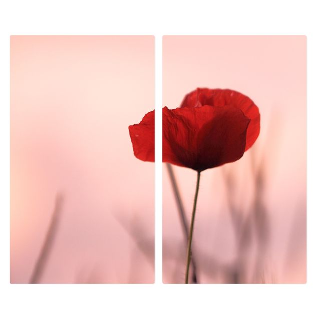 Cache plaques de cuisson - Poppy Flower In Twilight