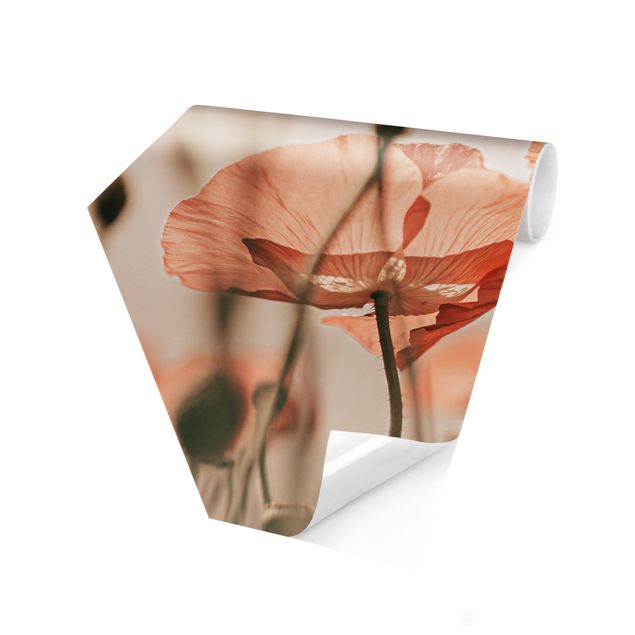 Papiers peintspanoramique hexagonal Fleurs de pavot dans une brise d'été