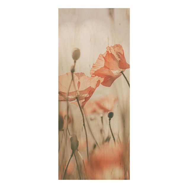 Tableaux en bois avec fleurs Fleurs de pavot dans une brise d'été