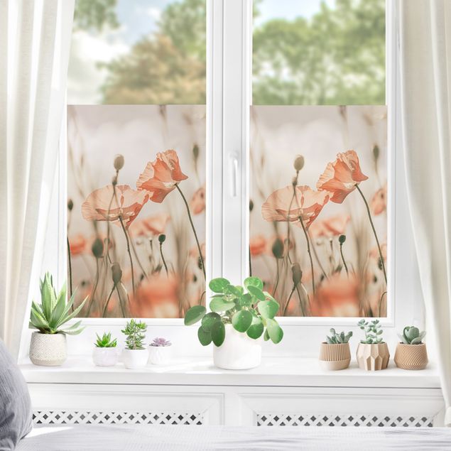Décoration pour fenêtre - Fleurs de pavot dans le vent d'été