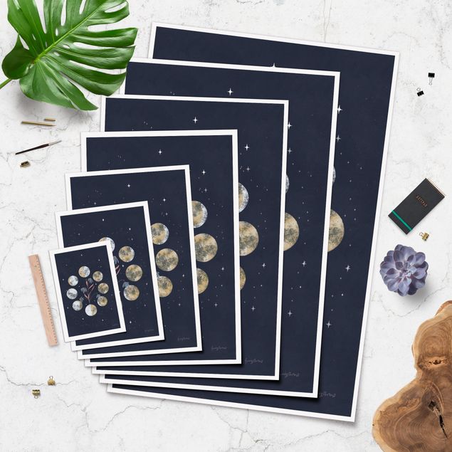 Poster reproduction - Moon Phases and daisies