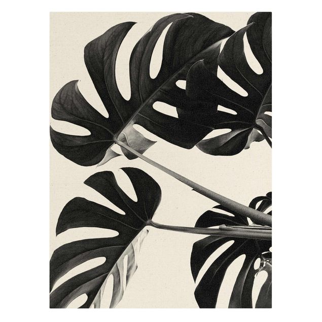 Impressions sur toile Monstera Leaves Black And White