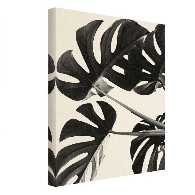 Tableau sur toile or - Monstera Leaves Black And White