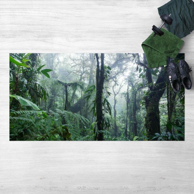 tapis forêt Forêt de nuages de Monteverde