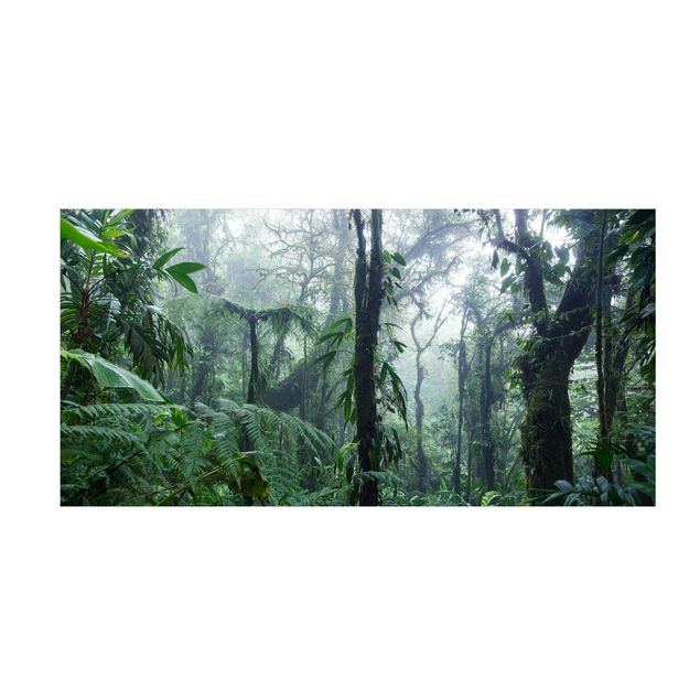 tapis nature Forêt de nuages de Monteverde