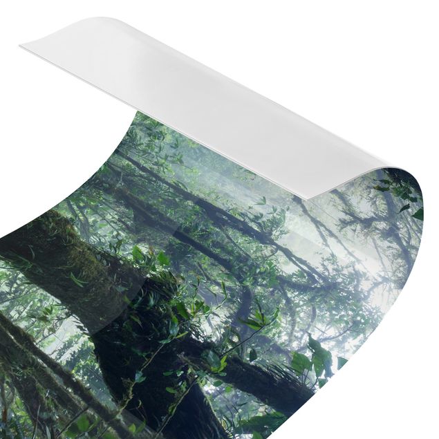 Film adhésif décoratif Forêt de nuages de Monteverde
