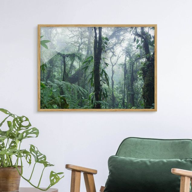 Tableau paysage Forêt de nuages de Monteverde