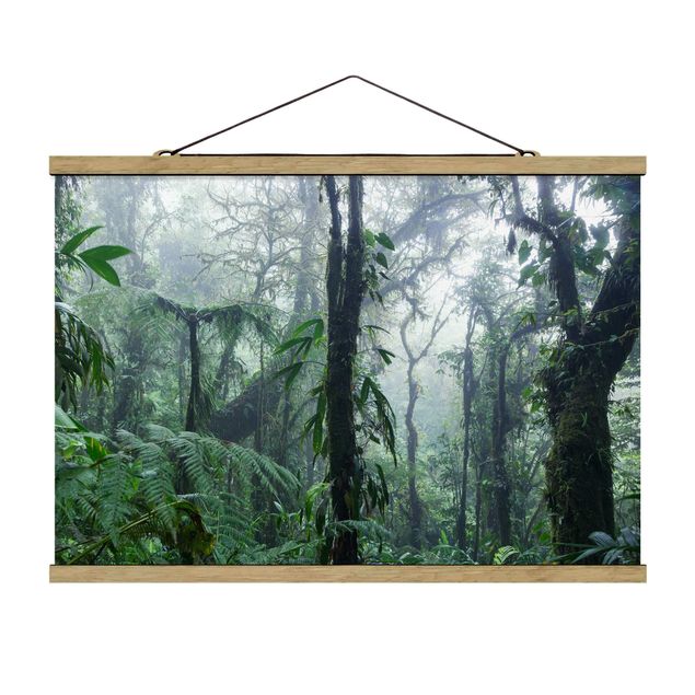 Tableaux modernes Forêt de nuages de Monteverde