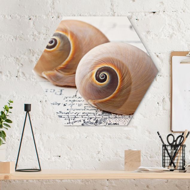 Tableaux modernes Shell Duo