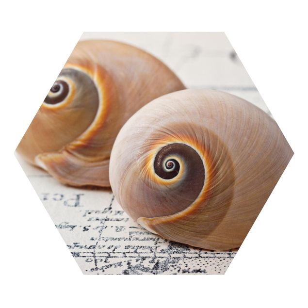 Tableaux Shell Duo