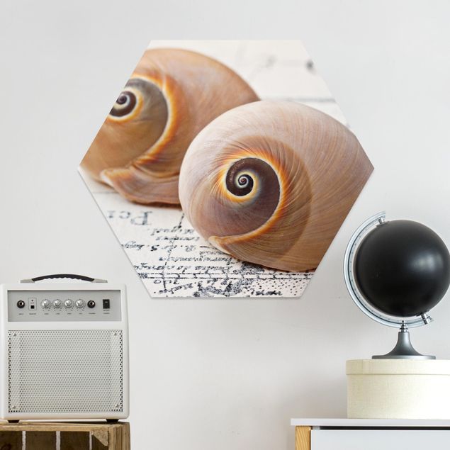 Tableaux moderne Shell Duo