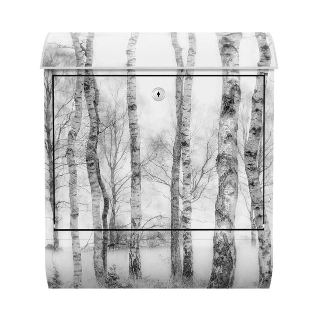 Boites aux lettres avec paysage Forêt de bouleaux mystique noire et blanche