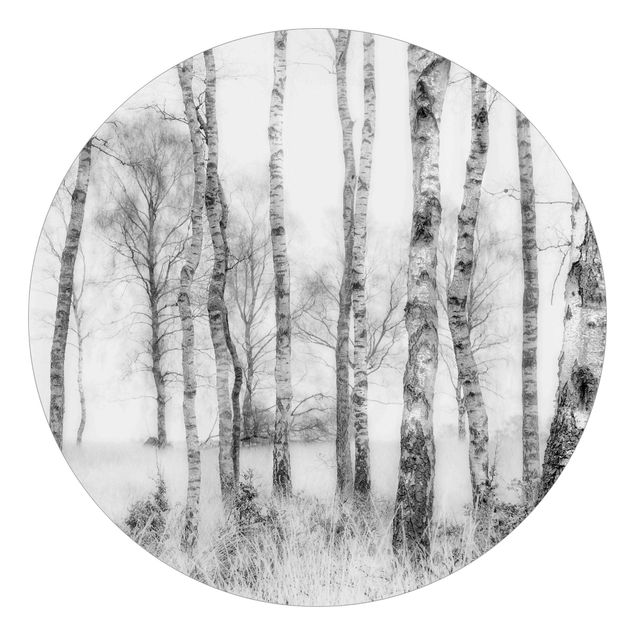 Papier peint forêt Forêt de bouleaux mystique noire et blanche