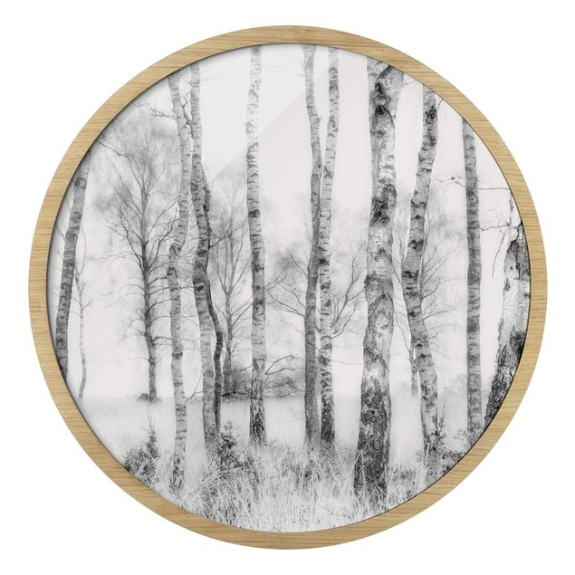 Affiches encadrées paysage Forêt de bouleaux mystique noire et blanche