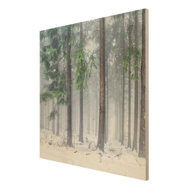 Tableaux en bois avec paysage Conifères en hiver