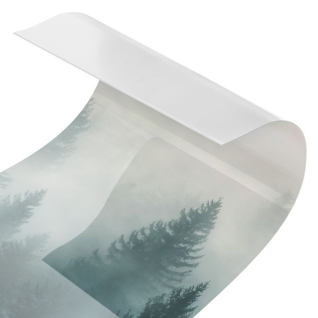 Revêtement mural de douche - Coniferous Forest In Fog