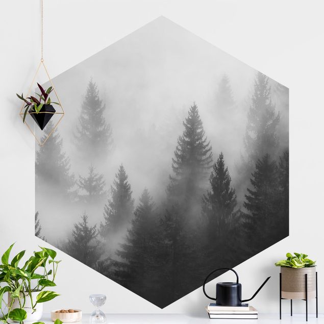 Décorations cuisine Forêt de conifères dans le brouillard Noir et blanc