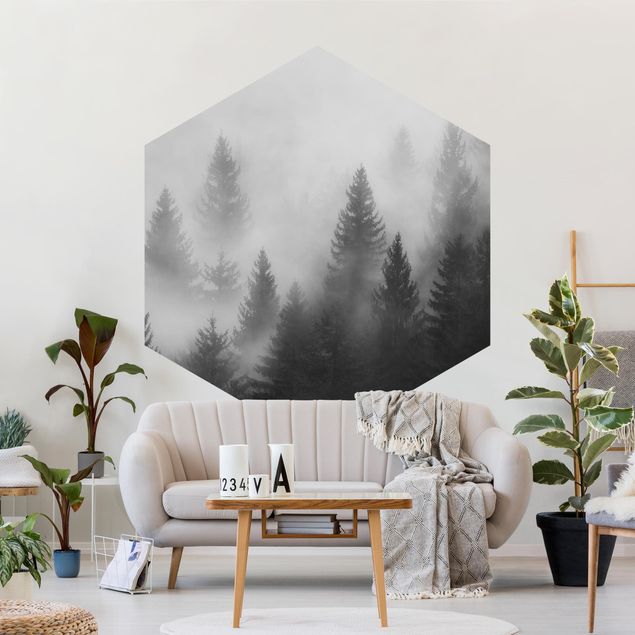 Papier peint noir et blanc Forêt de conifères dans le brouillard Noir et blanc