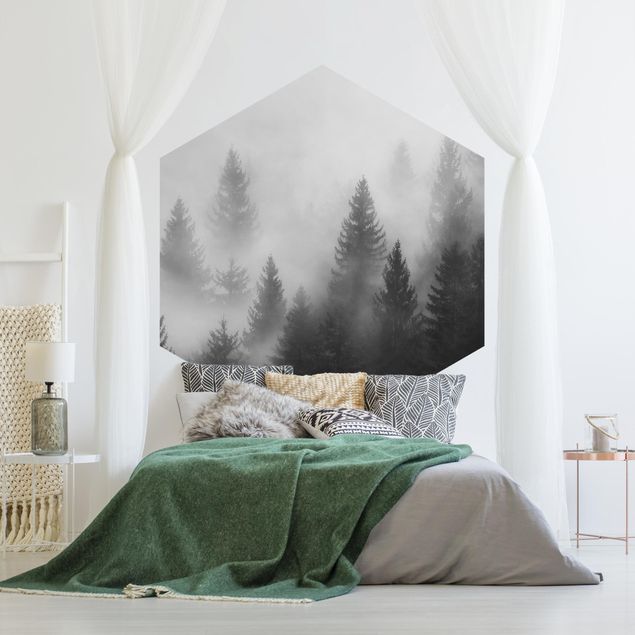 Papier peint forêt Forêt de conifères dans le brouillard Noir et blanc