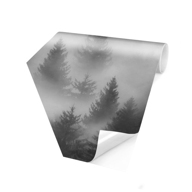 Papier peint panoramique Forêt de conifères dans le brouillard Noir et blanc