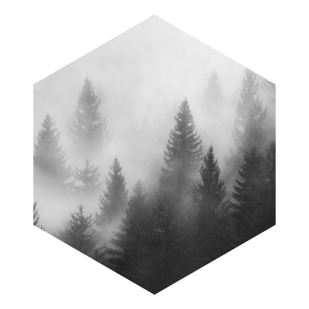 Papier peint hexagonal autocollant avec dessins - Coniferous Forest In The Fog Black And White