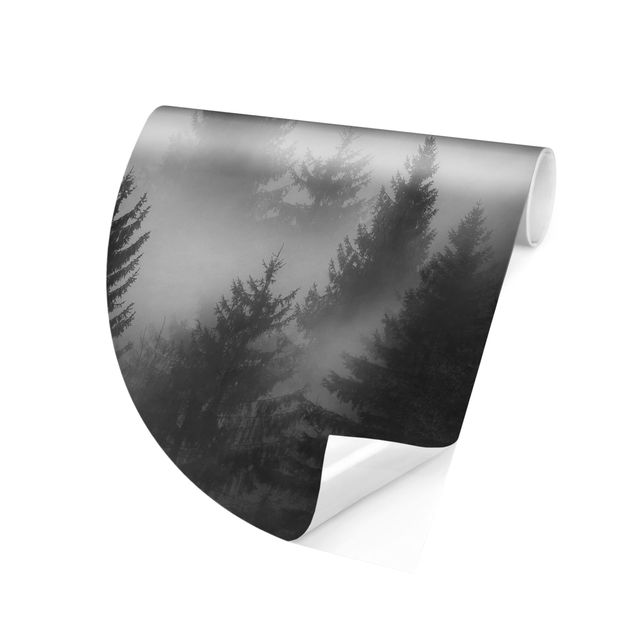 Papier peint noir et blanc Forêt de conifères dans le brouillard Noir et blanc