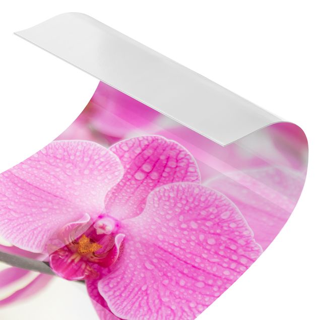 Revêtement mural de douche - Close-Up Orchid