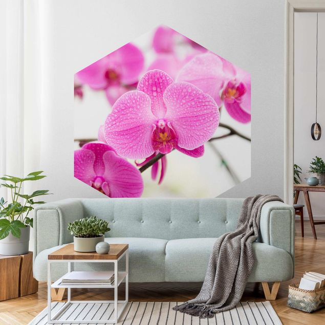 Papier peint moderne Gros plan sur une orchidée