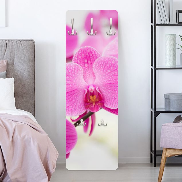 Porte-manteaux muraux avec fleurs Gros plan sur une orchidée