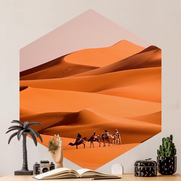 Papiers peints afrique Désert du Namib